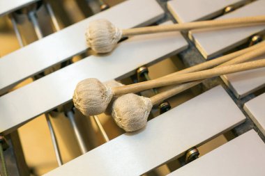 ksilofon, müzik Kromatik aletleri kavramı - closeup Tokmaklar, glockenspiel, marimba, balafon, semantron, pixiphone, eğitim ve Orkestrası konser kullanımı, ahşap çubuklarındaki görünümü top.