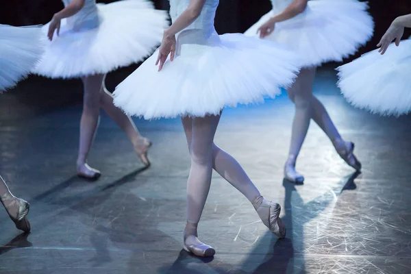 Performance, coreografía, concepto de baile. piernas elegantes de hermosas bailarinas amasing de pie en poses idénticas de aves elegantes y dignas, cisnes blancos nevados — Foto de Stock