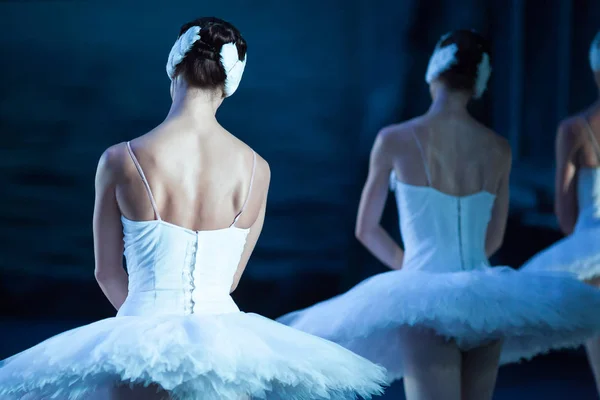 ballet, beauty, dramatic art concept. moveless and absolutly identical figures of female ballet dancers wearing outfit for performing swan lake standing back