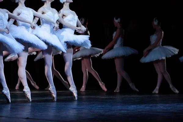Bale, sanat, gelenek kavramı. Dört genç beyaz kızlar etek giydiğini bale Kuğu Gölü, la danse des petite cygnes bir iyi bilinen parçası dans tüylerle süslenmiş