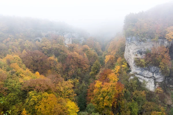 yürüme, ilham, kavram düşmek. iki dik kayalıklarla, altın, kırmızı ve sarı ağaç arasındaki uçurumu yetişir sonbahar ormanın nefes kesici ve son derece güzel görünüm tarafından sis kaplı