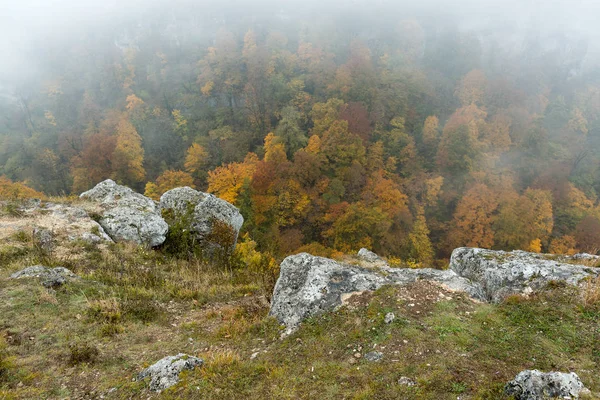 Saison, nature, concept de randonnée. vue du sommet depuis le point le plus élevé de la colline sur le bois qui pousse au pied de celle-ci, avec le début de l'automne tout le feuillage est devenu jaune — Photo