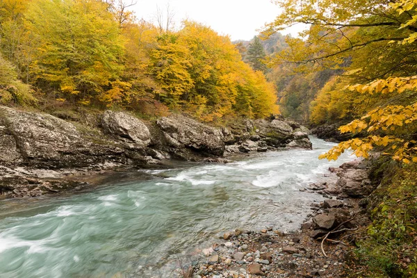 Krajiny, venkova, rybolov koncept. břehy řeky, dvě podobné strany pokryta žluté stromy, které se připravují na podzim, mezi skalnaté země je světle zelená řeka — Stock fotografie