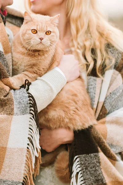 animals, love, nature, autumn concept. couple of lovers wrapped in plaid holding carefully their magnificent ginger cat that has awesome eyes in colour of orange
