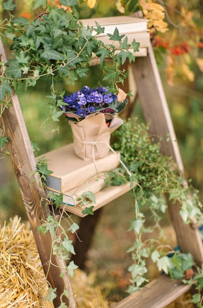 party decor, arrangement, gardening concept. the most lovely lilac flowers on the pot wrapped in paper placed on the decorative ladder that covered by leaves of wild vine