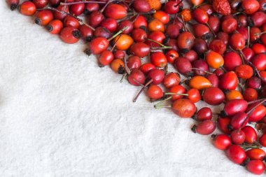 arka plan, Sonbahar, doğa kavramı. Beyaz kumaş dokulu yüzeye bir sürü parlak kırmızı ve turuncu renkler lezzetli meyveler. metin için üçgen şeklinde boş alan