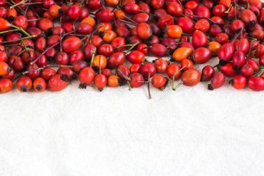 Sonbahar, hasat, diyet kavramı. fotoğrafın üst yarısında kuşburnu toplanan parlak koyu kırmızı, kırmızı ve turuncu meyveler dolu ve alt yarısında metin için negatif yer