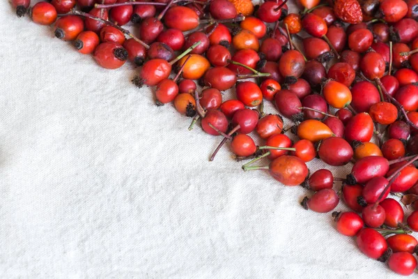 arka plan, Sonbahar, doğa kavramı. Beyaz kumaş dokulu yüzeye bir sürü parlak kırmızı ve turuncu renkler lezzetli meyveler. metin için üçgen şeklinde boş alan