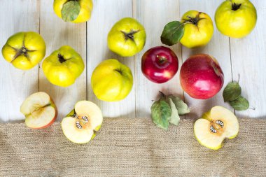 countryside, nutrition, presents. flat lay of autumnal fruits, few bright red apples surrounded by greeny yellow fresh quinces, all of them placed on the white desk nearby with rough fabric clipart