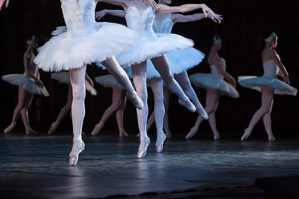 Tederheid, agility, choreografie concept. dans van de kleine zwanen uitgevoerd door vier aantrekkelijke en gracieuze ballerina's met dunne esthetische benen in licht roze pointe-schoenen — Stockfoto