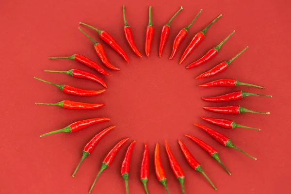 red hot chili peppers, popular spices concept - art decoration by hot chili peppers pod, still life circle composition on red background, top view, flat lay, free space for text.