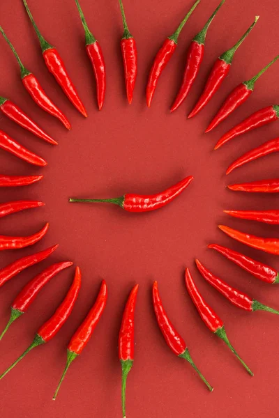 Red hot chili peppers, a népszerű fűszerek koncepció - közel akár dekoratív kör készült piros paprika piros háttérben a hüvely, a közepén van egy hüvely, felülnézet, lapos lay. — Stock Fotó