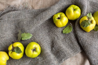 Vitaminler, kompozisyon, arka plan kavramı. quices adı verilen yeşilimsi sarı meyve kaba neredeyse yuvarlak formunun bir başka kapak gri ve kahverengi dokulu kumaş üzerine yerleştirilen