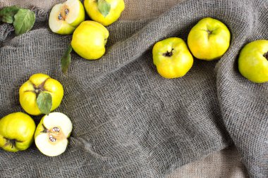 Sonbahar, sağlıklı yaşam, konsepti sunar. taze meyve, yeşil taraf ile güneşli sarı ayvaları bitkileri oluşuyordu onlar çuval kaba kumaş kıvrımları yalan
