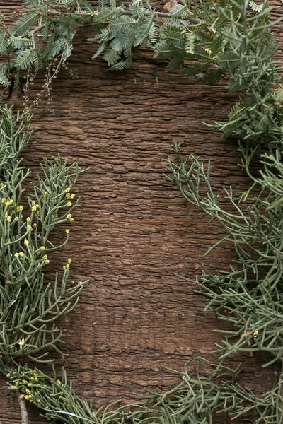 Зима, фон, екологічно чиста концепція. є рамка, створена гілками різних хвойних дерев, які розміщені на тлі дуже текстурованої дерев'яної поверхні — стокове фото