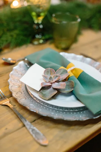 Plantation, restauration, concept de politique. dans des assiettes plates de différentes couleurs et formes il y a une serviette verte et une jolie fleur de succulente, ses feuilles ont une nuance délicate de vert et de rose sur les bords — Photo