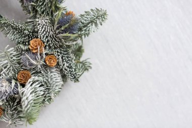 kış, Dekorasyon, tasarım concept.on kar yüzeyi orada kozalaklı ağaç pinecones küçük ahşap Güllü taze dalları gibi beyaz arka plan, küçük taneli buz parçacıkları ile kaplıdır
