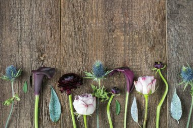 büyüyen, çevre düzenlemesi kavramı. ahşap masa çok pütürlü yüzeyi üzerinde dikkatle düzenlenmesi, metin için boş alan ile çiçek farklı türleri vardır