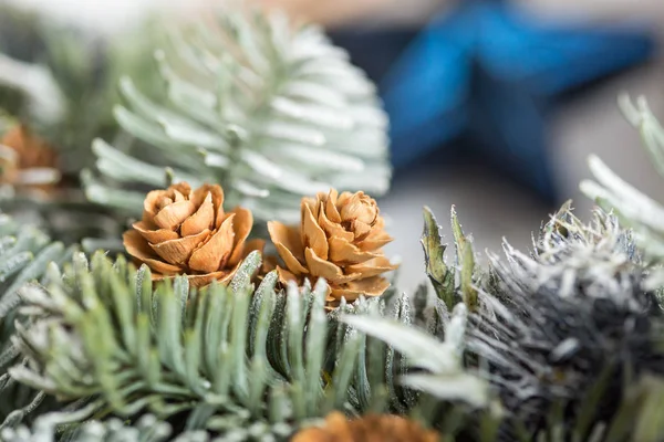Kış, özel günler, çevre kavramı. iki küçük pinecones iki tomurcukları kurutulmuş gül gibi onlar birbirlerini kaplı geniş yaprakları var. kozalaklı donmuş dalları arasında gizli — Stok fotoğraf