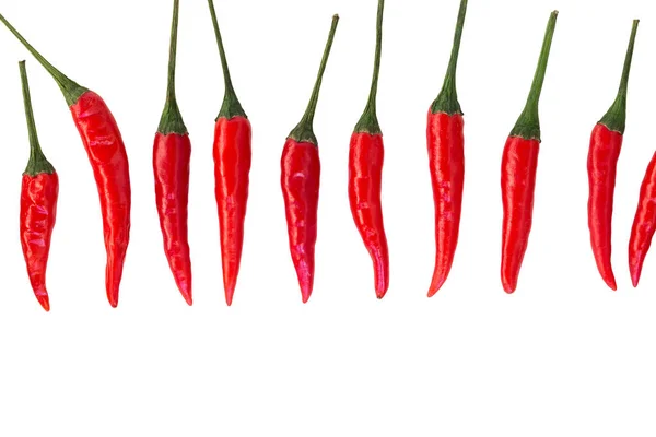 Red hot chili peppers, a népszerű fűszerek koncepció - a hüvely, a red hot chili peppers egy fehér háttér, felülnézet, lapos feküdt, szabad hely, a szöveg függőlegesen egymásra halmozva sor. — Stock Fotó