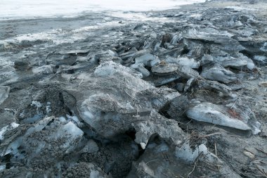 Kış, doğa, su kavramı yeniden canlandırır. Kıyı bölgesinde gri kirli buz blokları var. Donmuş su blokları kum ve kuru samanla karıştırılır.