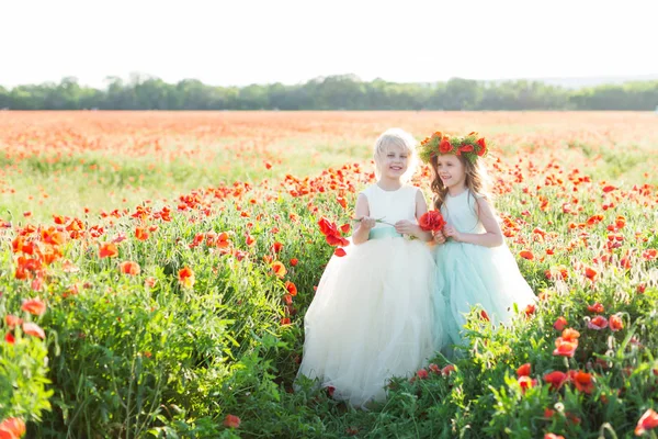 Маленькая девочка модель, детство, счастье, мода, летняя концепция - две маленькие принцессы, одетые в белую и голубую элегантную одежду с букетами мака, они улыбаются на солнечном поле цветов . — стоковое фото