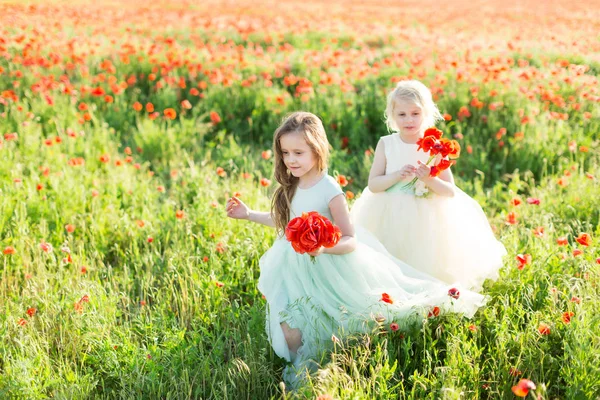 Modelo niña, la infancia, la moda, la boda, el concepto de verano dos damas de honor niñas caminando en el campo de flores, en las manos de pequeños modelos son ramos de flores de amapola . — Foto de Stock
