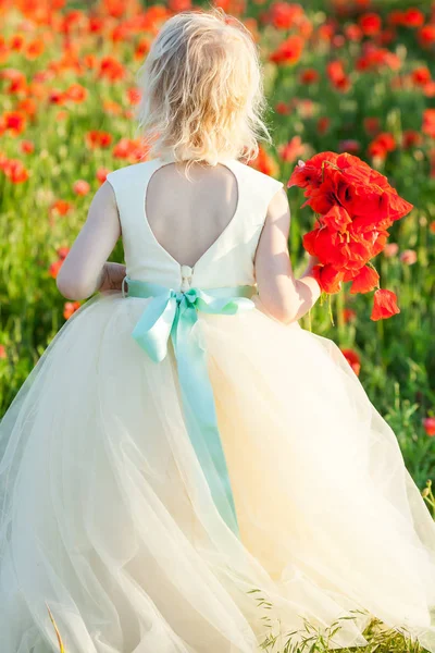 Girl model, fashion, summer nature concept - young blonde girl picking a bouquet of poppy flowers on the field, on the back of her white wedding dresses a great neckline and a delicate blue belt. — Stock Photo, Image