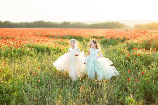 Modelo menina pequena, infância, moda, conceito de verão - duas namoradas fofas em roupas brancas e azuis jogar jogos no campo de papoula, nas mãos de cada menina sorridente é um broto de flores vermelhas . — Fotografia de Stock
