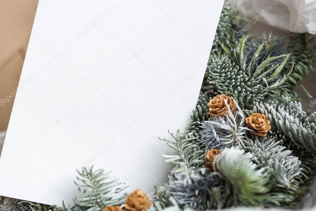 winter, celebrating, background concept. close up of white textured construction paper with free space for greeting words, it placed among green spruce branches and pinecones