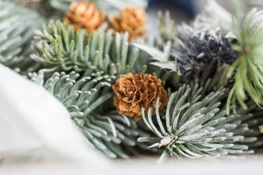 çevre, ekme, dekor konsepti. Yüksek desenli yaprakları olan küçük ahşap gül tomurcukları donmuş ve biraz da karla kaplanmış kozalaklı ağaçta çiçek açıyor.