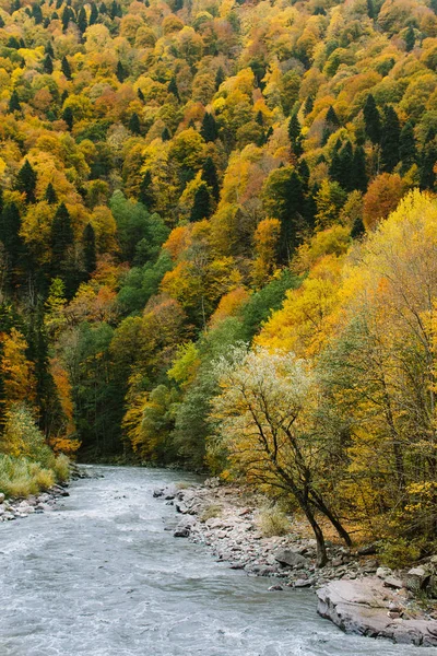 Příroda Podzim Roční Období Mezi Dvěma Skalnatými Břehy Bílými Kameny — Stock fotografie