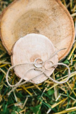 Doğa, düğün, aksesuar konsepti. İki sevimli gümüş ve altın yüzük. Evlilik töreni için. Sert bir iple bağlanıp, ağacın dilimlerine konmuş.