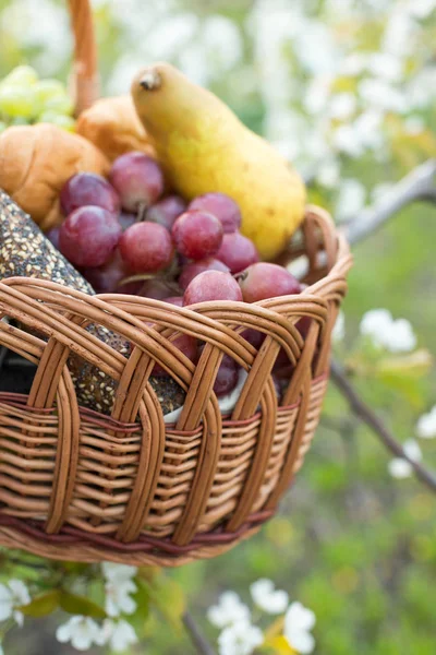 수확의 아름다운 바구니에 상품들 사이에 부드럽게 비치는 과일들이 빛나고 — 스톡 사진