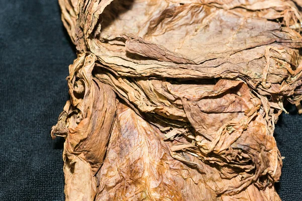 Imagem Ampliada Folhas Tabaco Fermentadas Comprimidas Secas Melhor Qualidade Processo — Fotografia de Stock