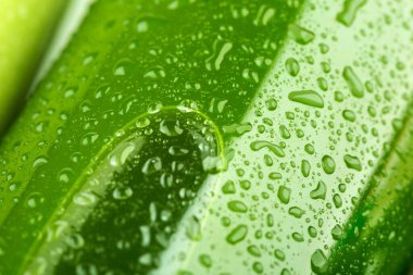 Yeşil sıvıyla dolu ve su damlacıklarıyla kaplı cam bir kapta hava kabarcığı. Soğuk tatlandırıcı içecek konsepti.