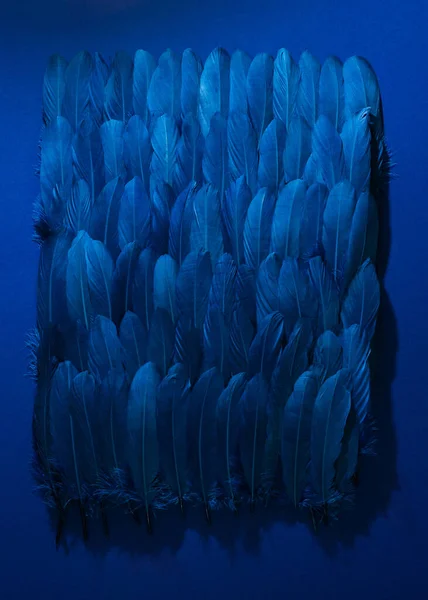 Зверху Темні Пір Утворюють Фігуру Прямокутника Синьому Фоні — стокове фото