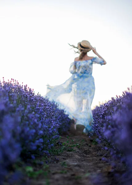 集中できない ラベンダー畑を走るカラフルなドレスを着た帽子をかぶった女性の燃えるようなシルエット 後ろからの眺め 瞬間のインスピレーションの概念 — ストック写真