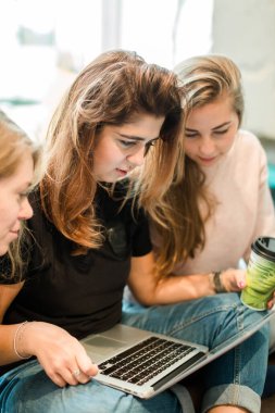 Kafede birlikte dizüstü bilgisayar kullanan kadınlar. Genç kızlar kahve içip laptoplarını paylaşırken kafede oturuyorlar..