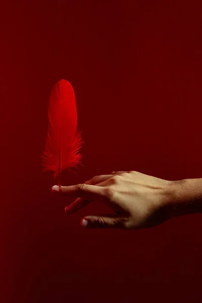 Crop hand balancing feather on finger against bright red background