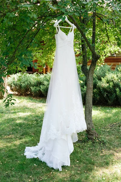 Quadro Vertical Branco Vestido Noiva Renda Longa Pendurado Galho Árvore — Fotografia de Stock