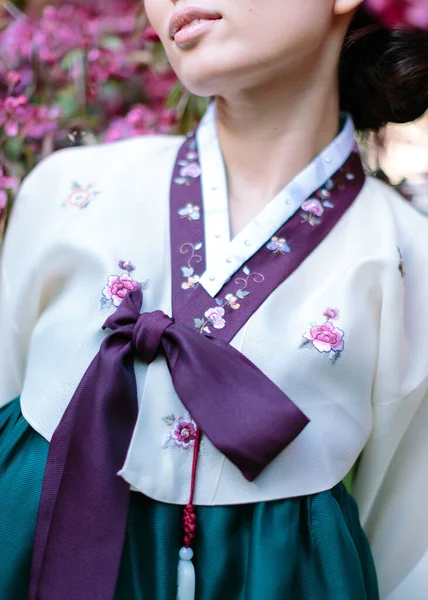 美しいアジアの少女が身に着けている韓国の民族韓服の詳細 東洋文化の伝統と慣習の概念 — ストック写真