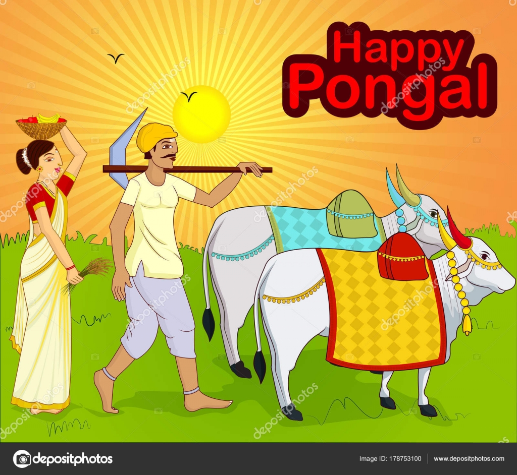 Illustration Happy Pongal Festival Stock Vector Image by ©ColorBolt  #178753100