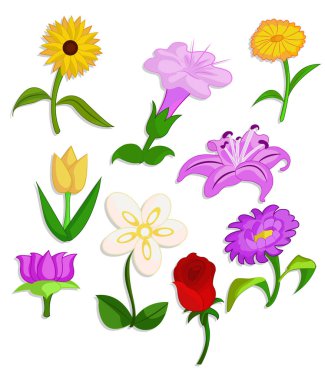 çiçek kümesinin farklı stil