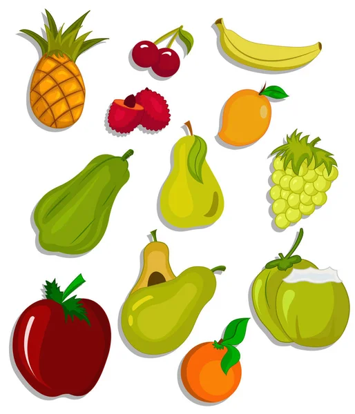 Vektor Illustration Früchte Set — Stockvektor