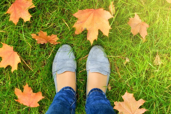Прогулка Осенним Листьям Парке — стоковое фото