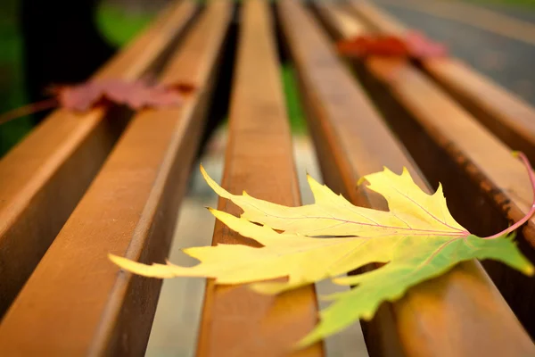 Feuille d'automne sur le banc. Fond d'automne — Photo