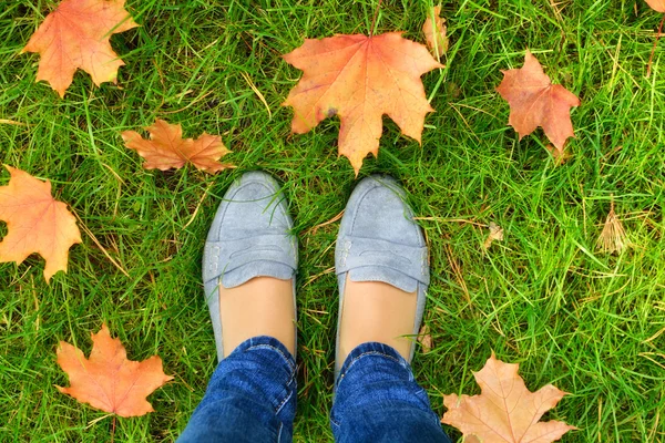 Promenade à travers les feuilles d'automne dans le parc . — Photo