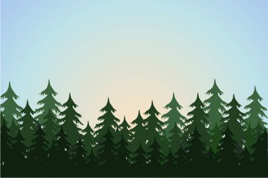 köknar ağaçlarıyla, orman arka plan manzara, çizilmiş vektör çizim ver.