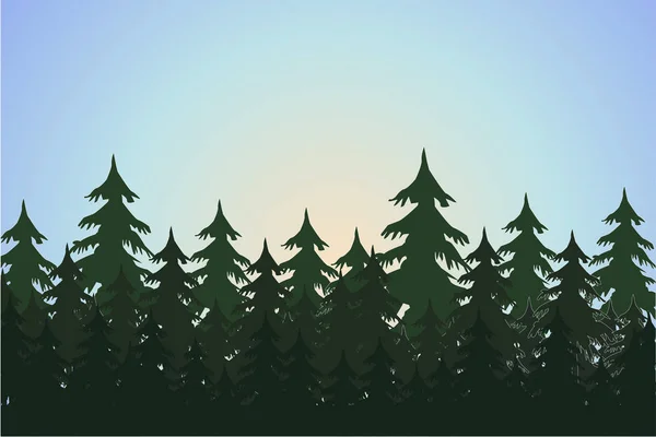 Las iglasty. krajobraz z jodły, tła lasu, ręcznie rysowane wektor ilustracja — Wektor stockowy